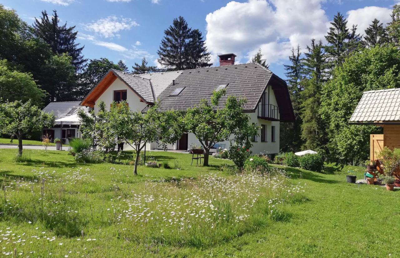 Appartement Pr'Cajhn à Radovljica Extérieur photo